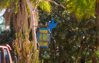 Pantanal – Land of the Jaguar