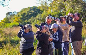 Pantanal – Land of the Jaguar