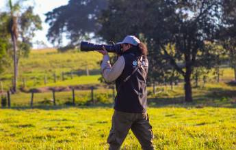 Pantanal – Land of the Jaguar