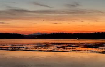 Whales & Bears of British Columbia