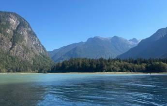 Whales & Bears of British Columbia