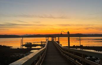Whales & Bears of British Columbia