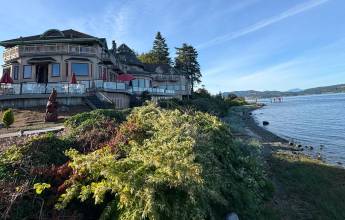 Whales & Bears of British Columbia