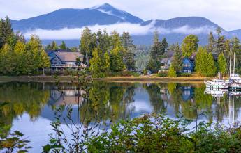Whales & Bears of British Columbia