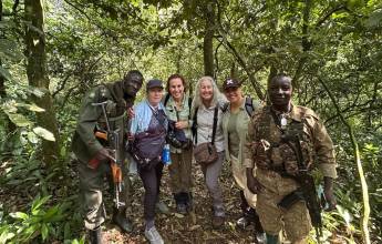 Chimps & Gorillas of Uganda