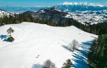 Transylvania Winter Walk & Snowshoe