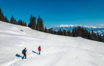 Transylvania Winter Walk & Snowshoe