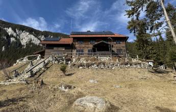 Transylvania Winter Walk & Snowshoe