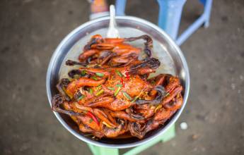 Cycle Southeast Asia