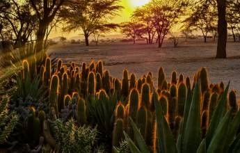 Discover Namibia – Camping