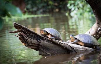 Costa Rica Adventure Family Holiday