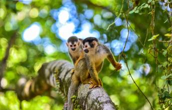 Costa Rica Adventure Family Holiday