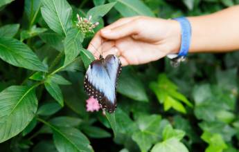 Costa Rica Adventure Family Holiday