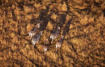 Kenya & Tanzania Adventure