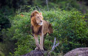 South Africa: Walking & Wildlife