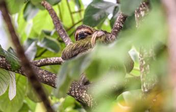 Natural Highlights of Costa Rica