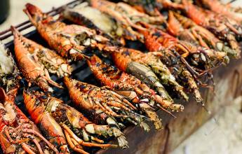 Kenya & Tanzania Adventure