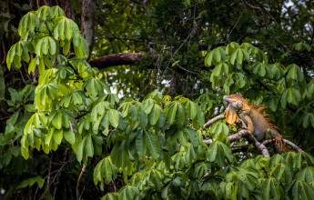 Costa Rica Adventure Family Holiday