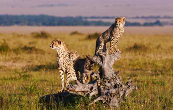 Kenya & Tanzania Adventure