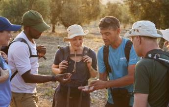 Walking in Andalucia
