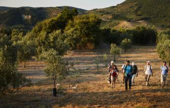 Walking in Andalucia
