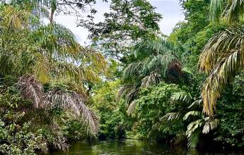 Costa Rica Adventure Family Holiday