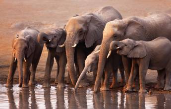 Discover Namibia – Camping