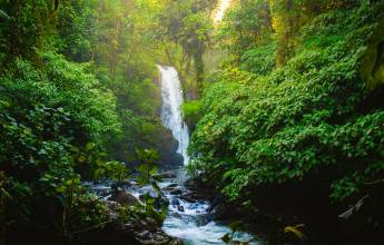 La Paz Waterfalls