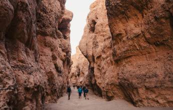 Botswana & Namibia: Delta & Dunes