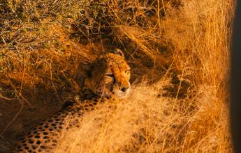 Discover Namibia – Lodges