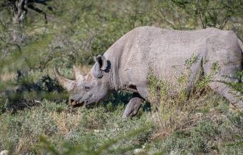 Kenya & Tanzania Adventure