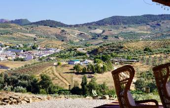 Walking in Andalucia