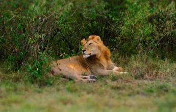 Kenya & Tanzania Adventure