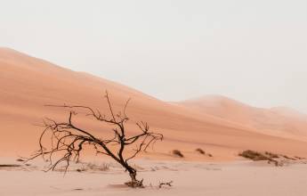 Discover Namibia – Camping