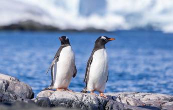 Antarctic Peninsula: Crossing the Circle