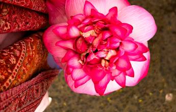 Kerala & the Tropical South