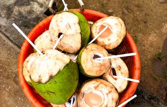 Kerala & the Tropical South