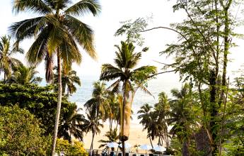 Kerala & the Tropical South