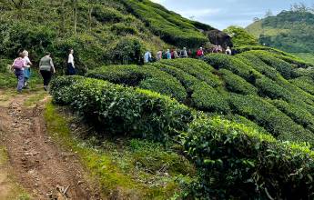 Kerala & the Tropical South