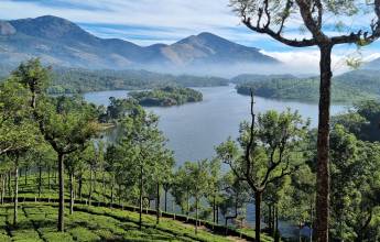 Spice Trails of Kerala