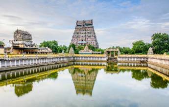 Kerala & the Tropical South