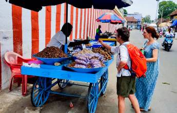 Kerala & the Tropical South