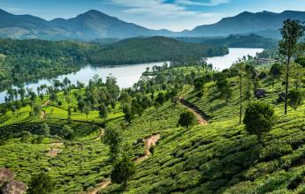 Kerala & the Tropical South