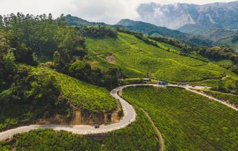 Kerala & the Tropical South