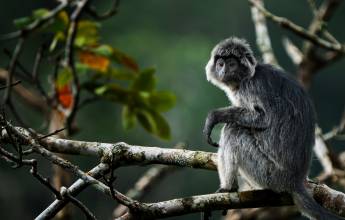 Cycling Indonesia’s Islands