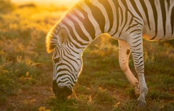 Cape Town & the Garden Route