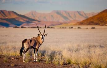 Sossusvlei - Namib - Namibia