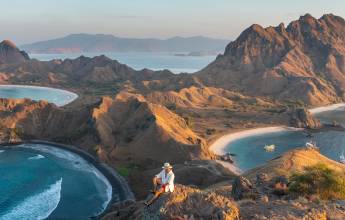 Primates & Dragons of Indonesia