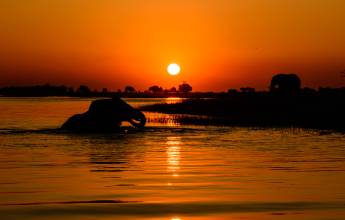 Cape Town to Victoria Falls – Hotel/Lodge