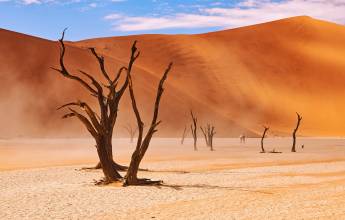 Cape Town to Victoria Falls – Hotel/Lodge